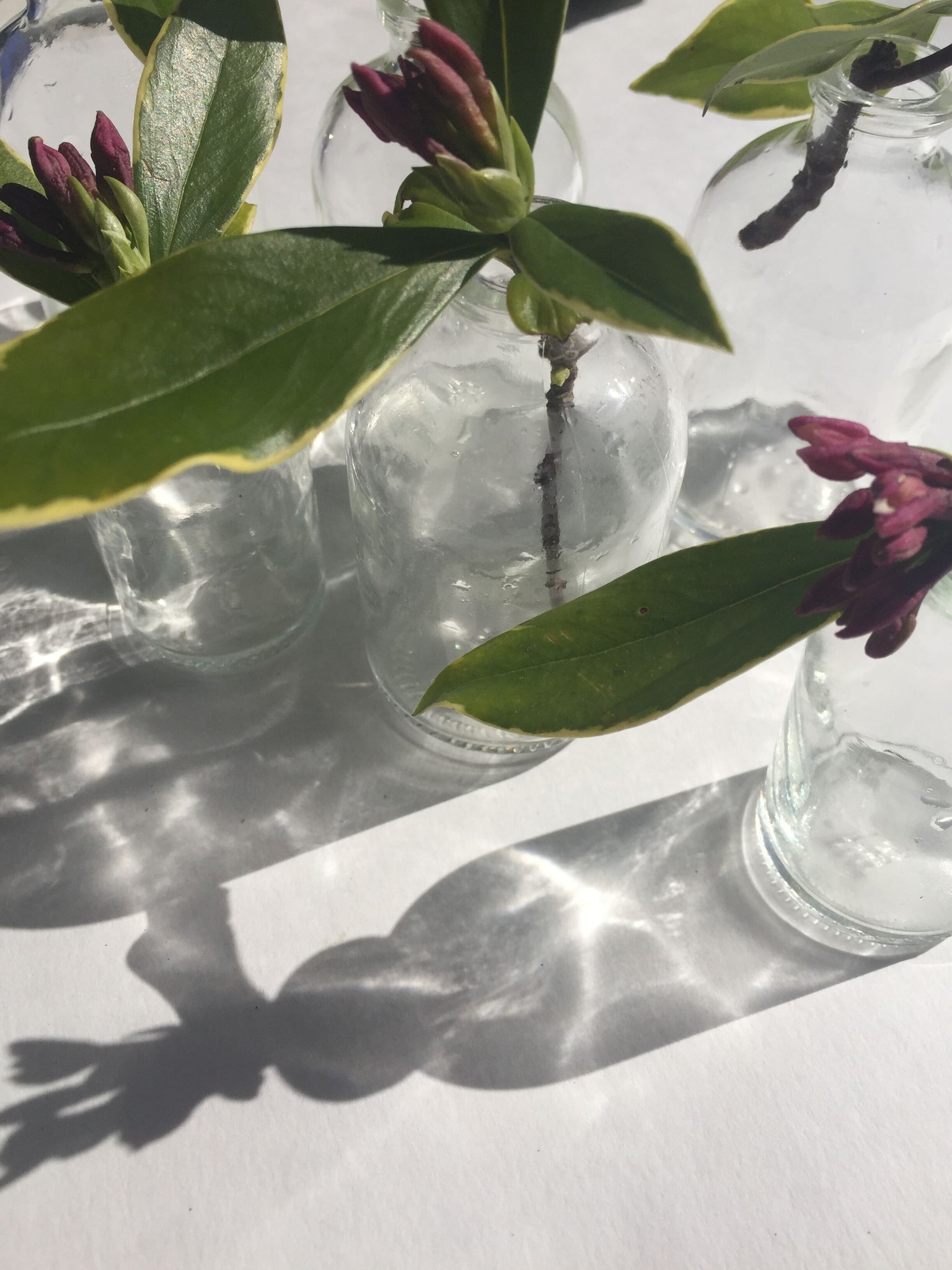 Tiny Glass Vase Collection