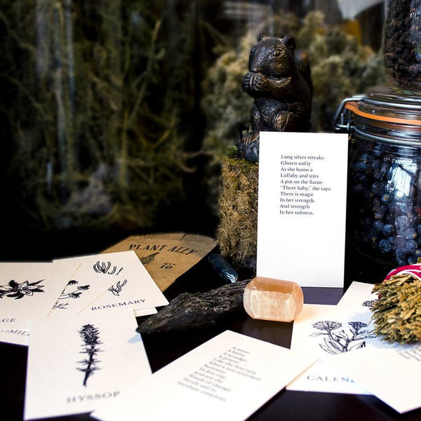 Plant Ally Talisman Cards