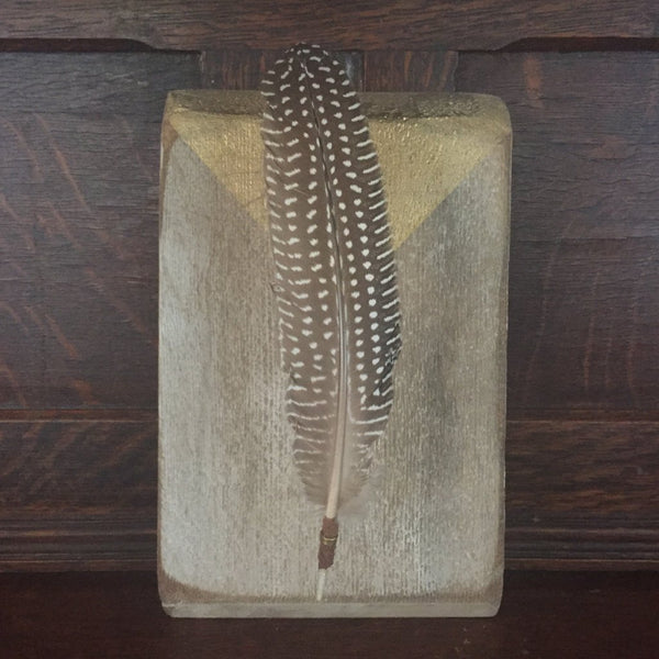 Mounted Feather