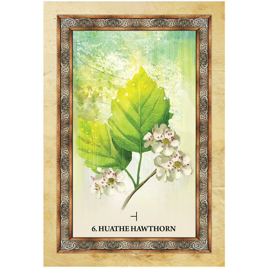 Celtic Tree Oracle