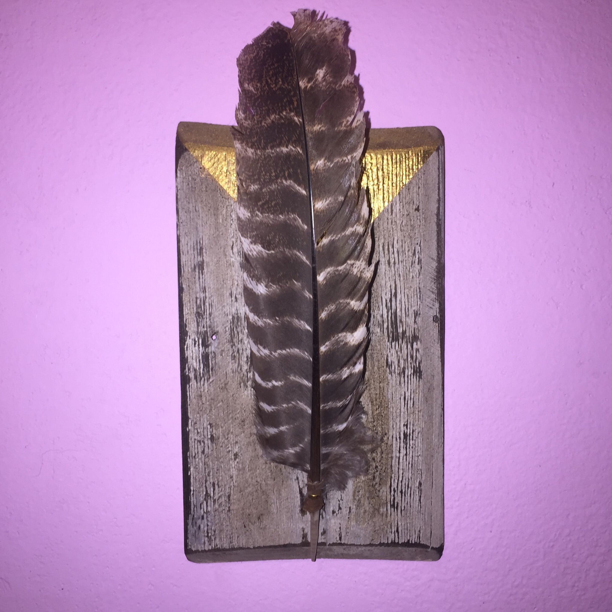 Mounted Feather