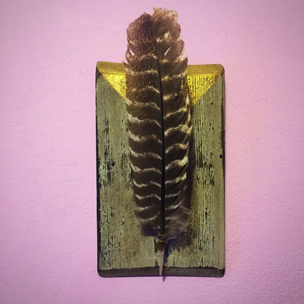 Mounted Feather