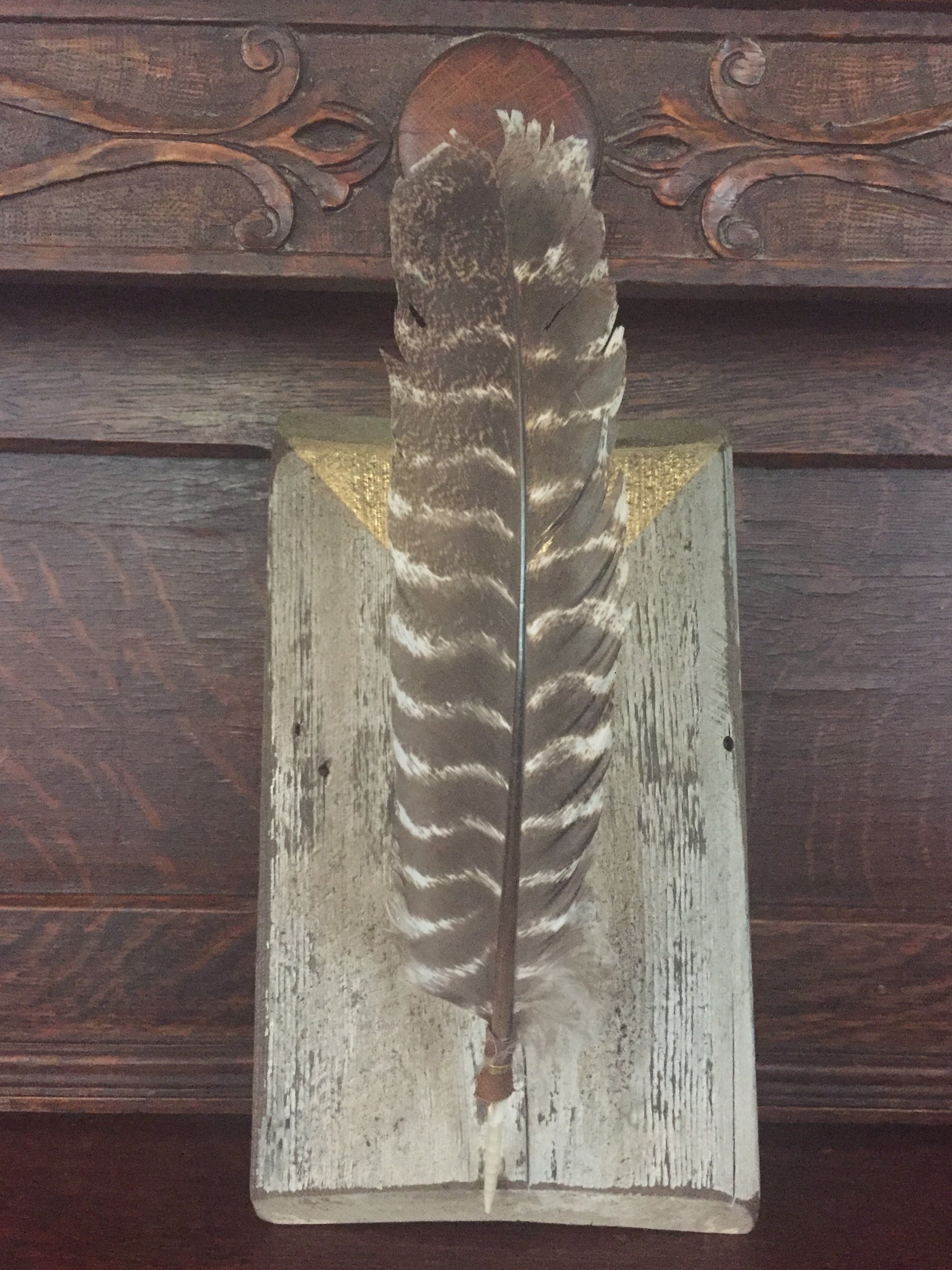 Mounted Feather
