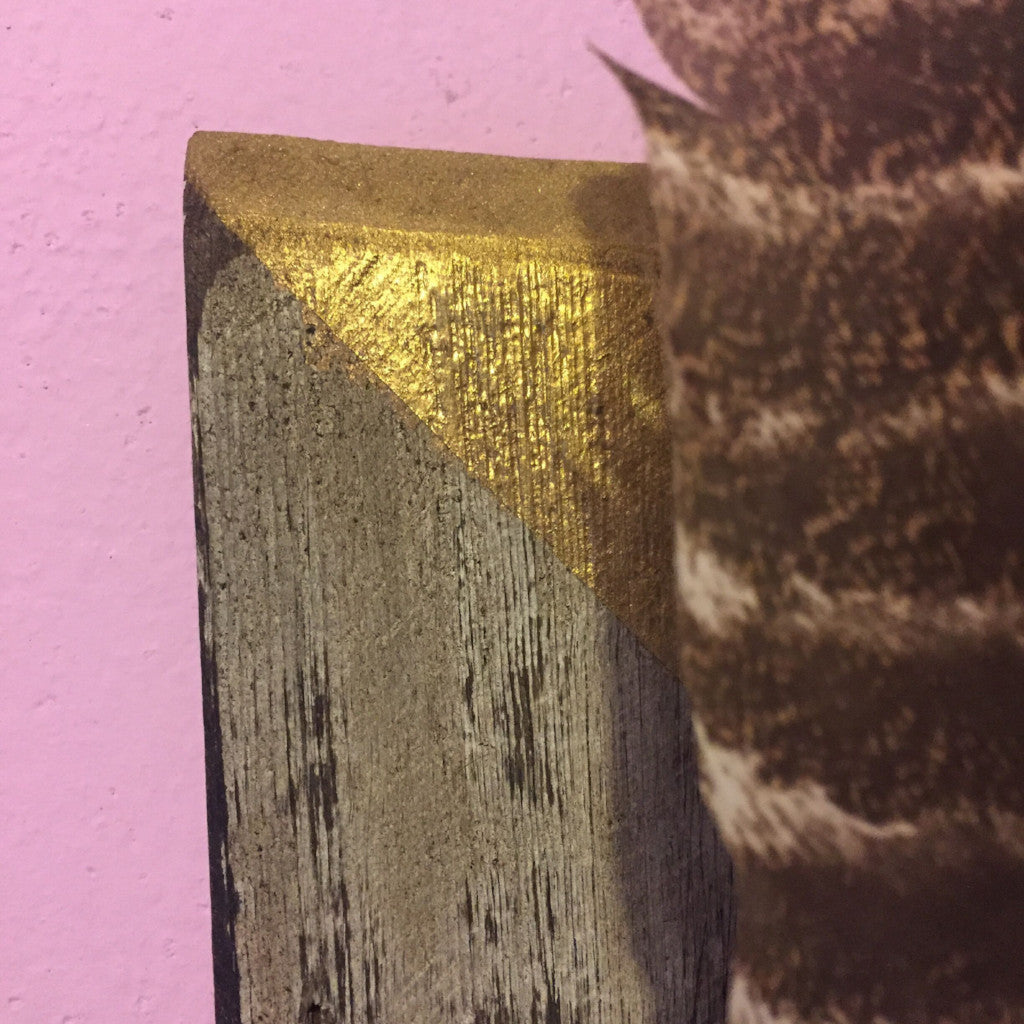 Mounted Feather