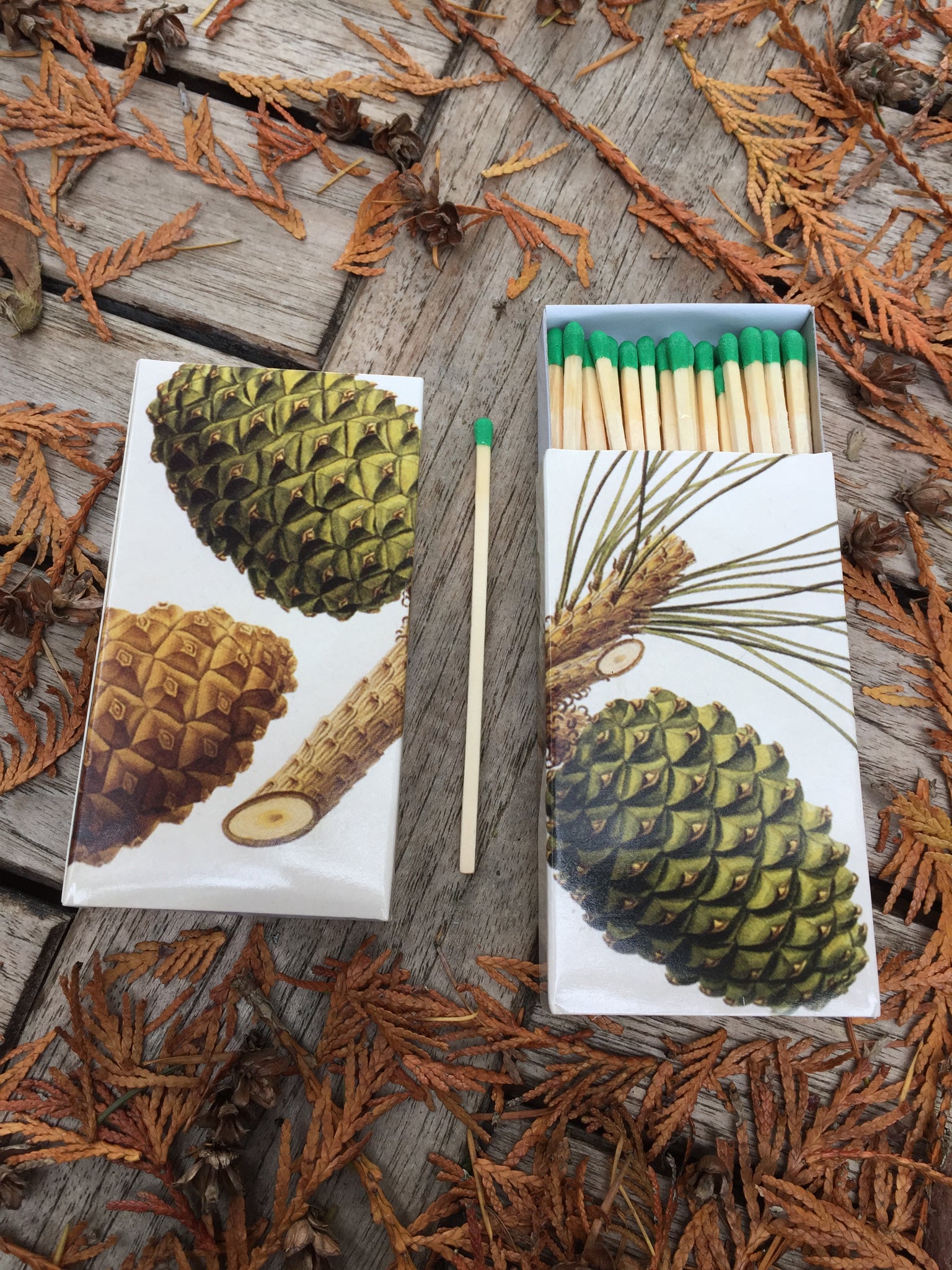 Pine Cone Matches