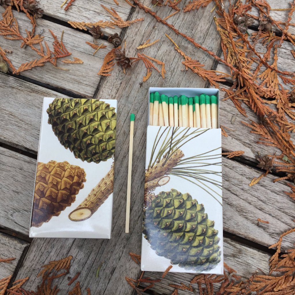 Pine Cone Matches