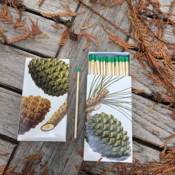 Pine Cone Matches