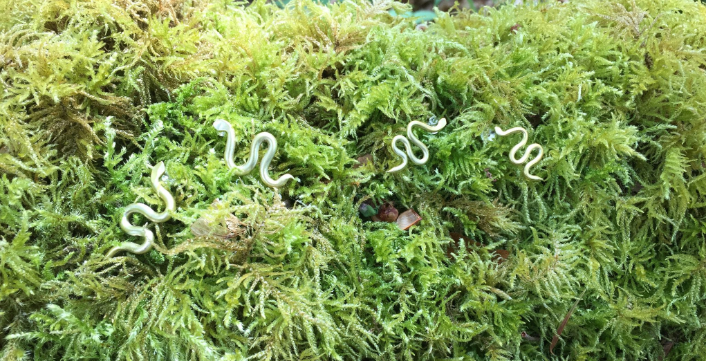 Mini Brass Snake Earrings