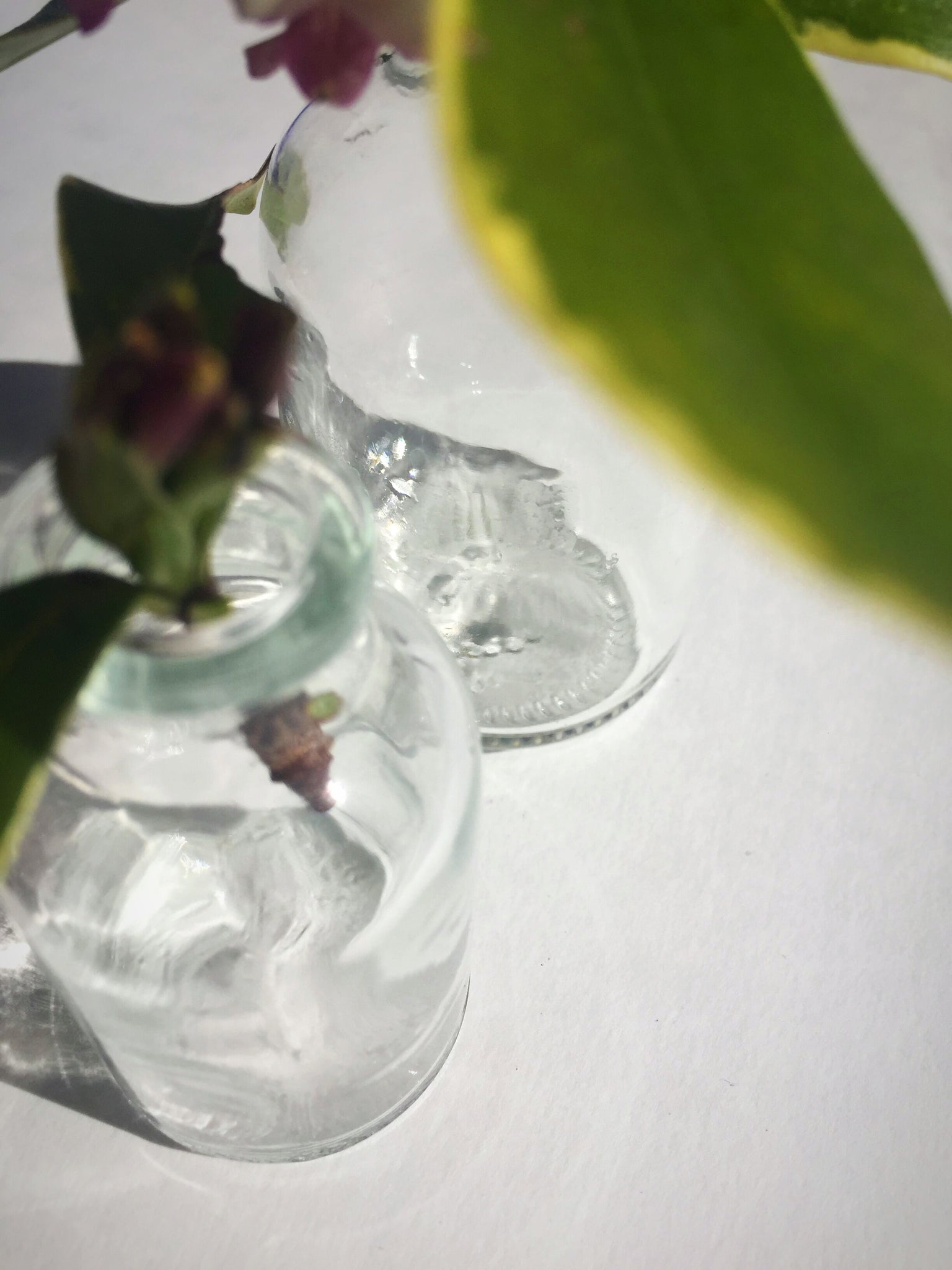 Not so Tiny Glass Vase