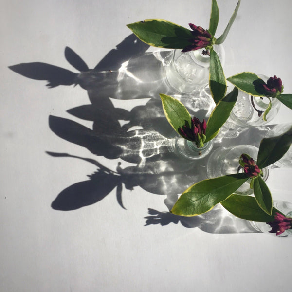 Tiny Glass Vase charmingthemoon